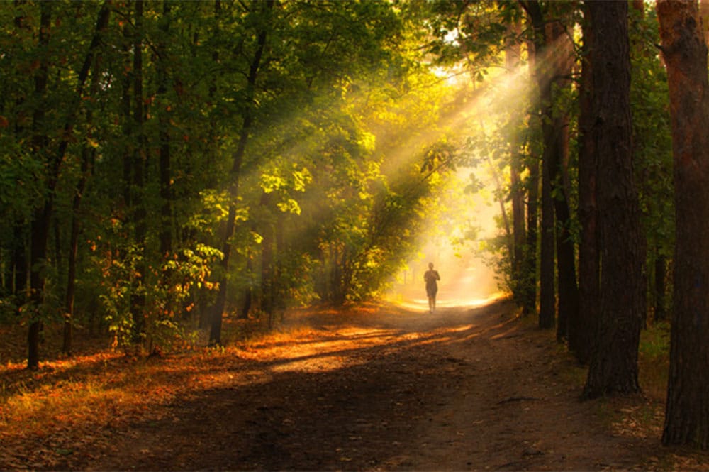 God’s Divine Protection