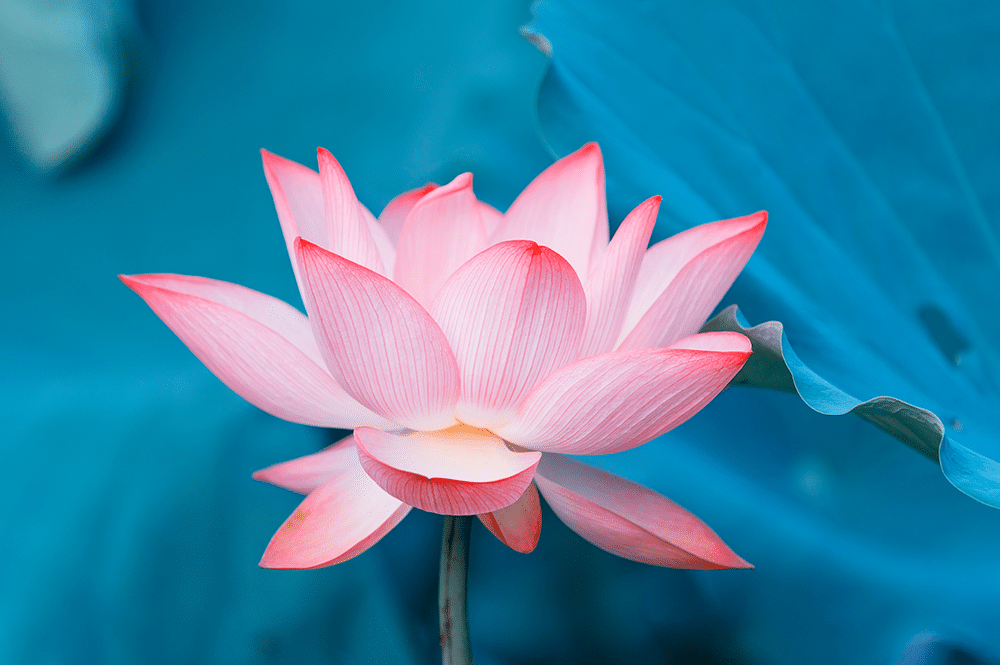 Trust in God for Your Change